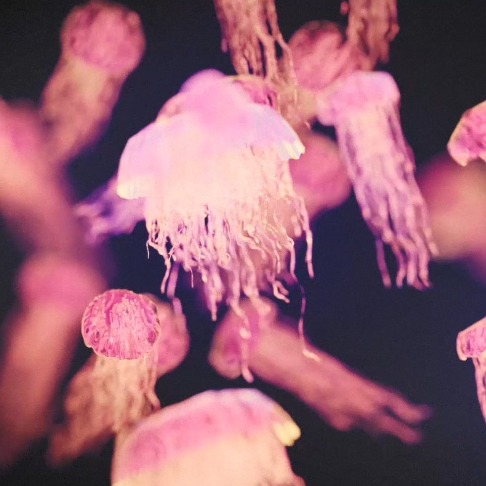 Ethereal Jellyfish