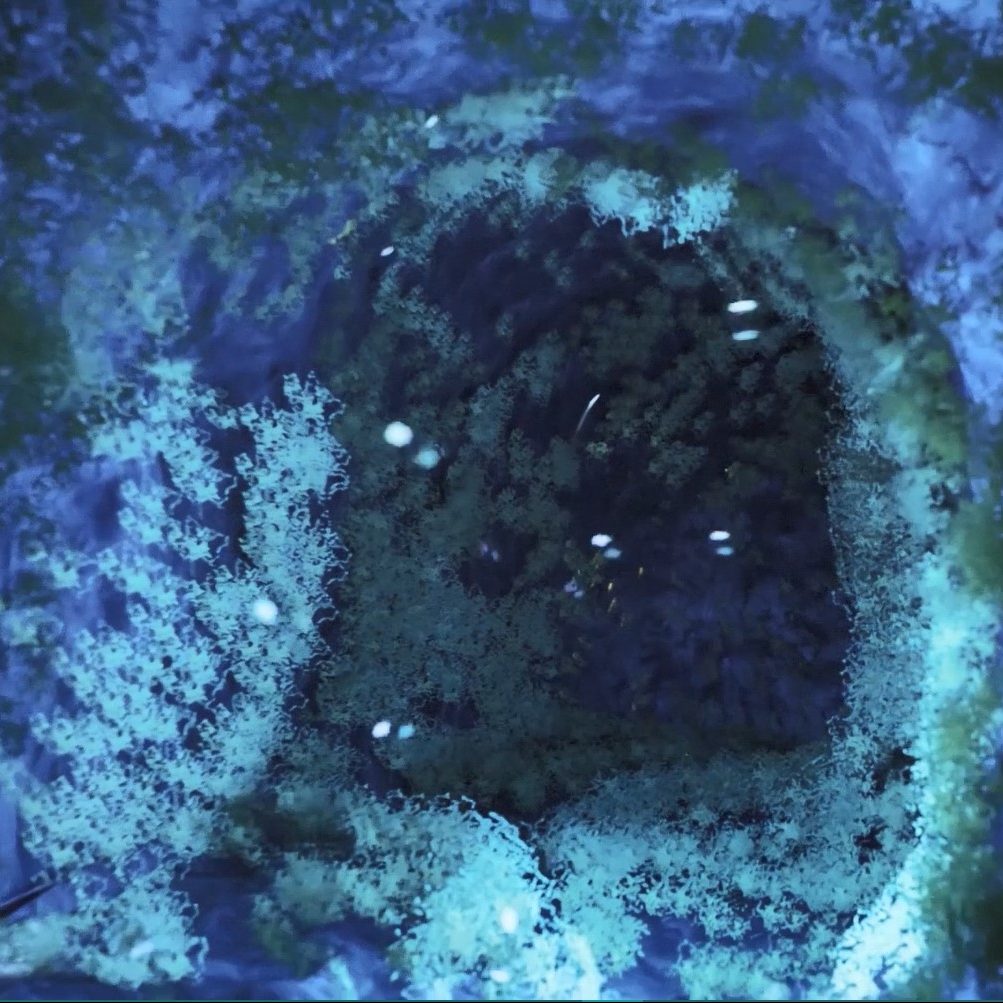 Underwater Cavern Tunnel