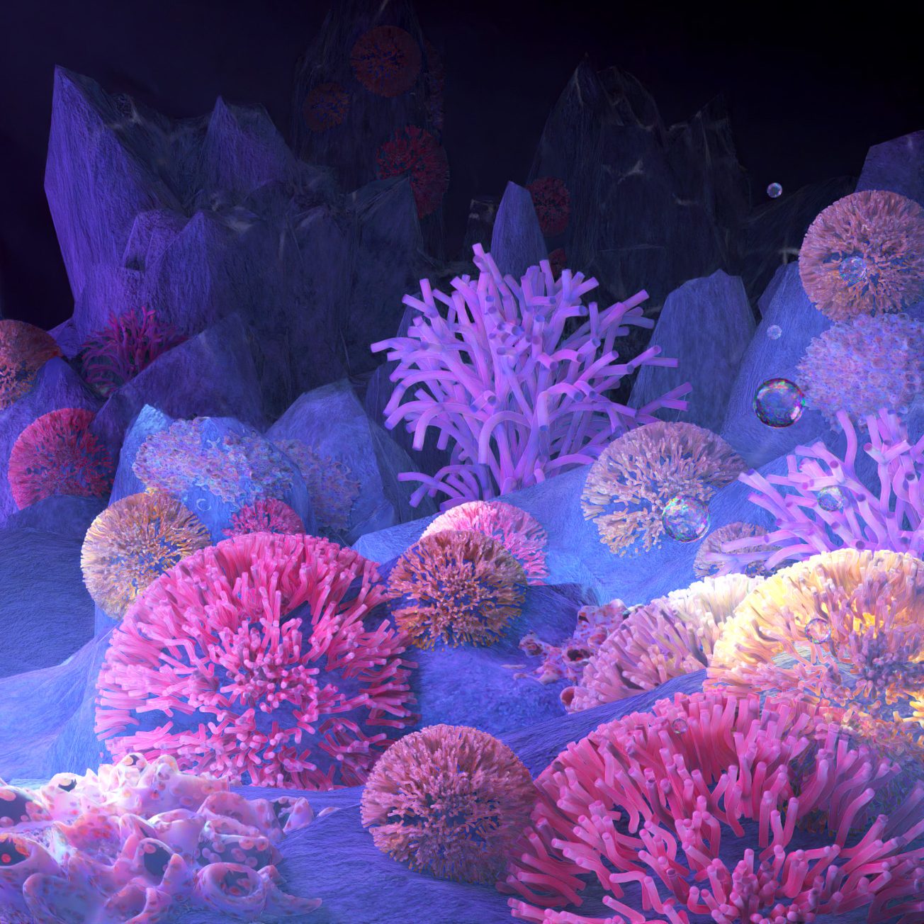 Pom-Pom Coral Cove