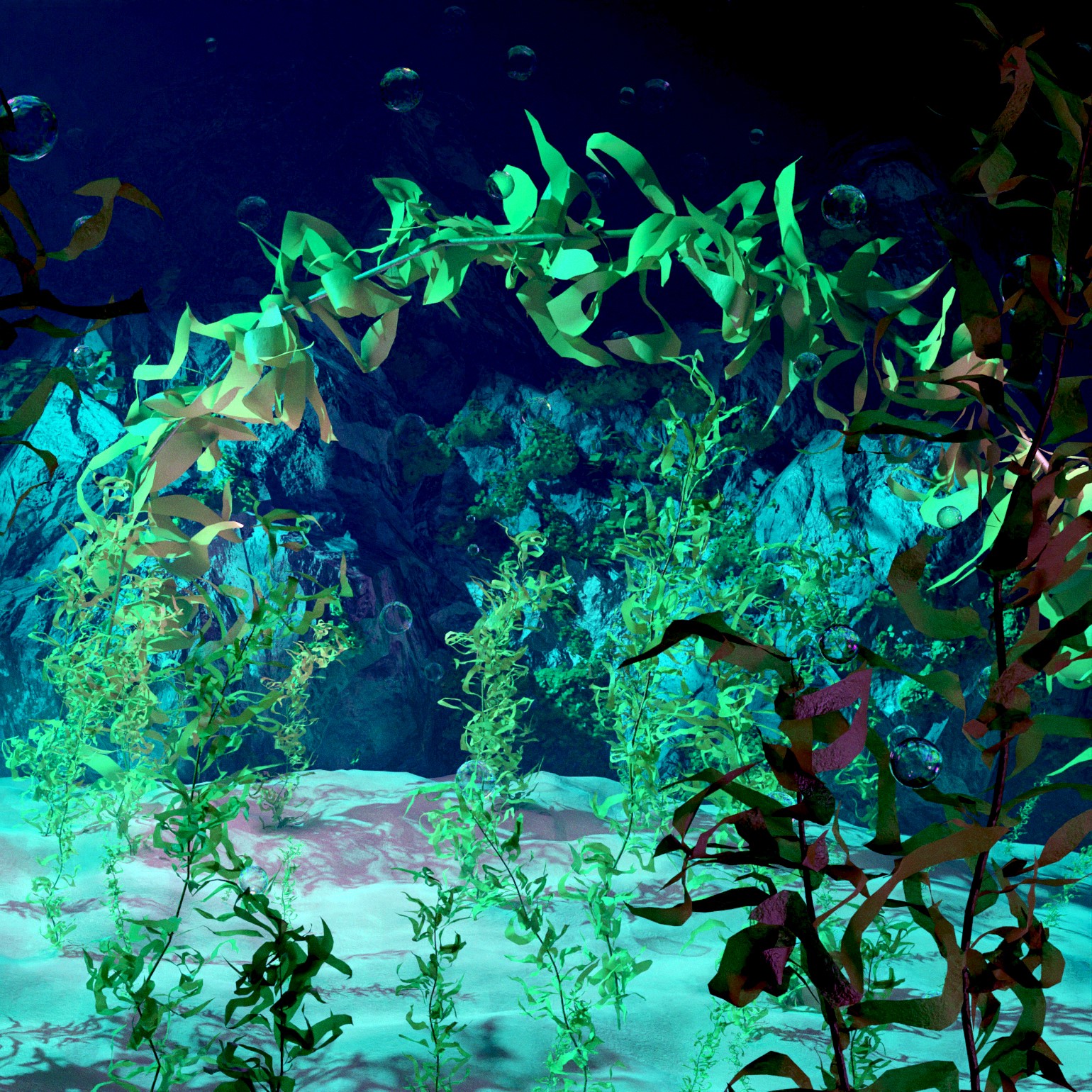 Kelp Forest