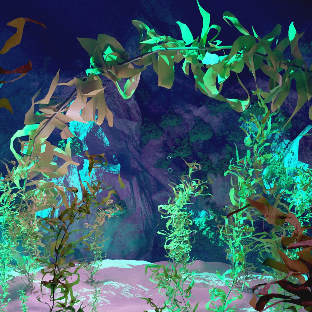 Kelp Forest